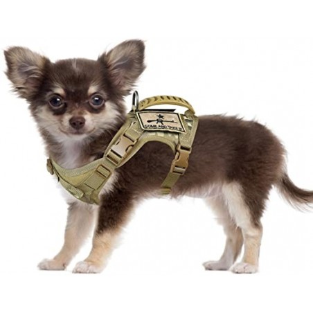 Small Dog Adjustable Training Vest